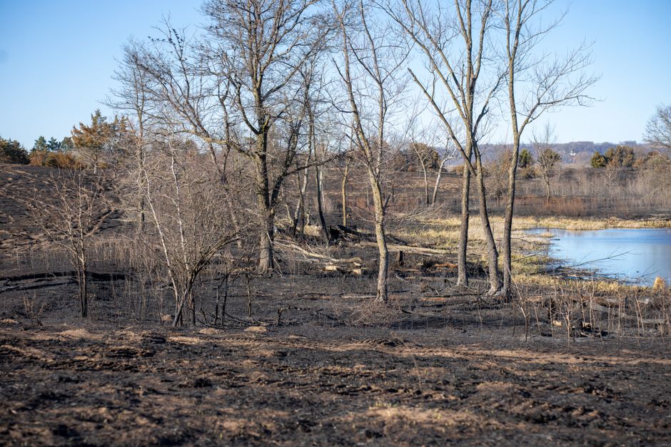 Ontario Real Estate July 2026 wildfire insurance and GTA commercial market