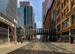 pexels-scottwebb-2530579